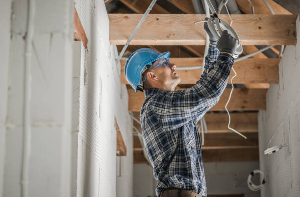 Best Ceiling Fan Installation Electrician  in Woodward, IA