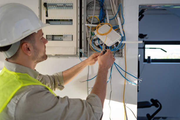 Best Electrician for Home Renovation  in Woodward, IA